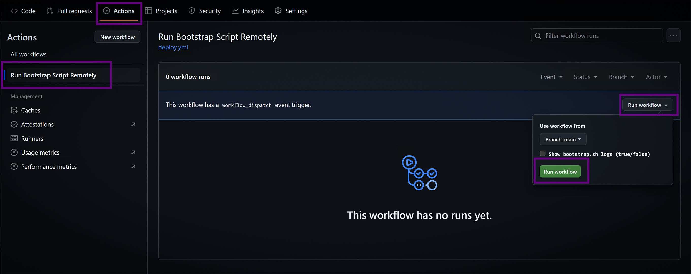 Run Workflow